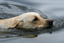 Foto Maarit Saarinen