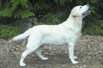 10 vuotta / 10 years
Foto: Marko Klapuri