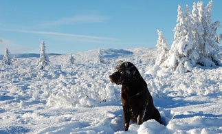 Greetings from Norway!