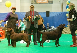 BOS in Narva int show