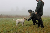 NOME-B Raasepori, "Naisten haku" VOI 2
Foto Pauliina Lehtola
