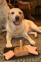 10 vee kekkerit 3.10.2014