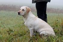 NOME-B Raasepori, "Naisten haku" VOI 2
Foto Pauliina Lehtola