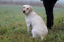 NOME-B Raasepori, "Naisten haku" VOI 2
Foto Pauliina Lehtola