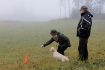 NOME-B Raasepori, "Naisten haku" VOI 2
Foto Pauliina Lehtola
